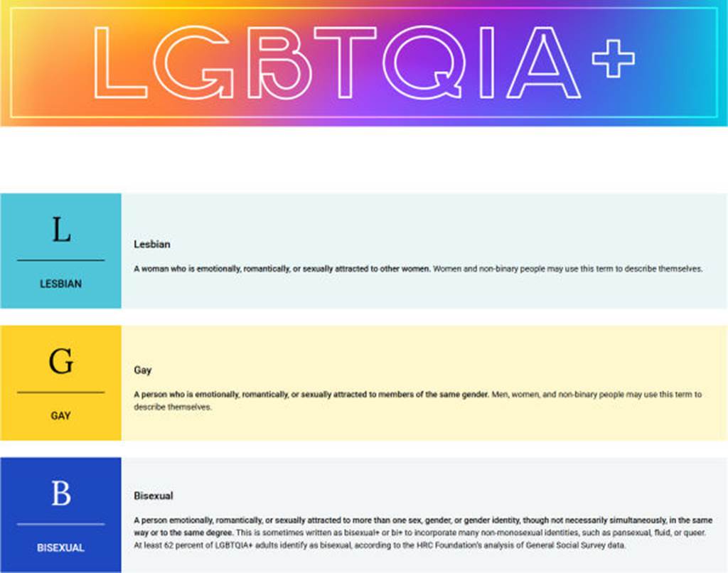 Being an LGBTQIA+ Ally Banner