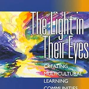 The Light in Their Eyes - Book Cover