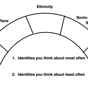 Social Identity Wheel screenshot