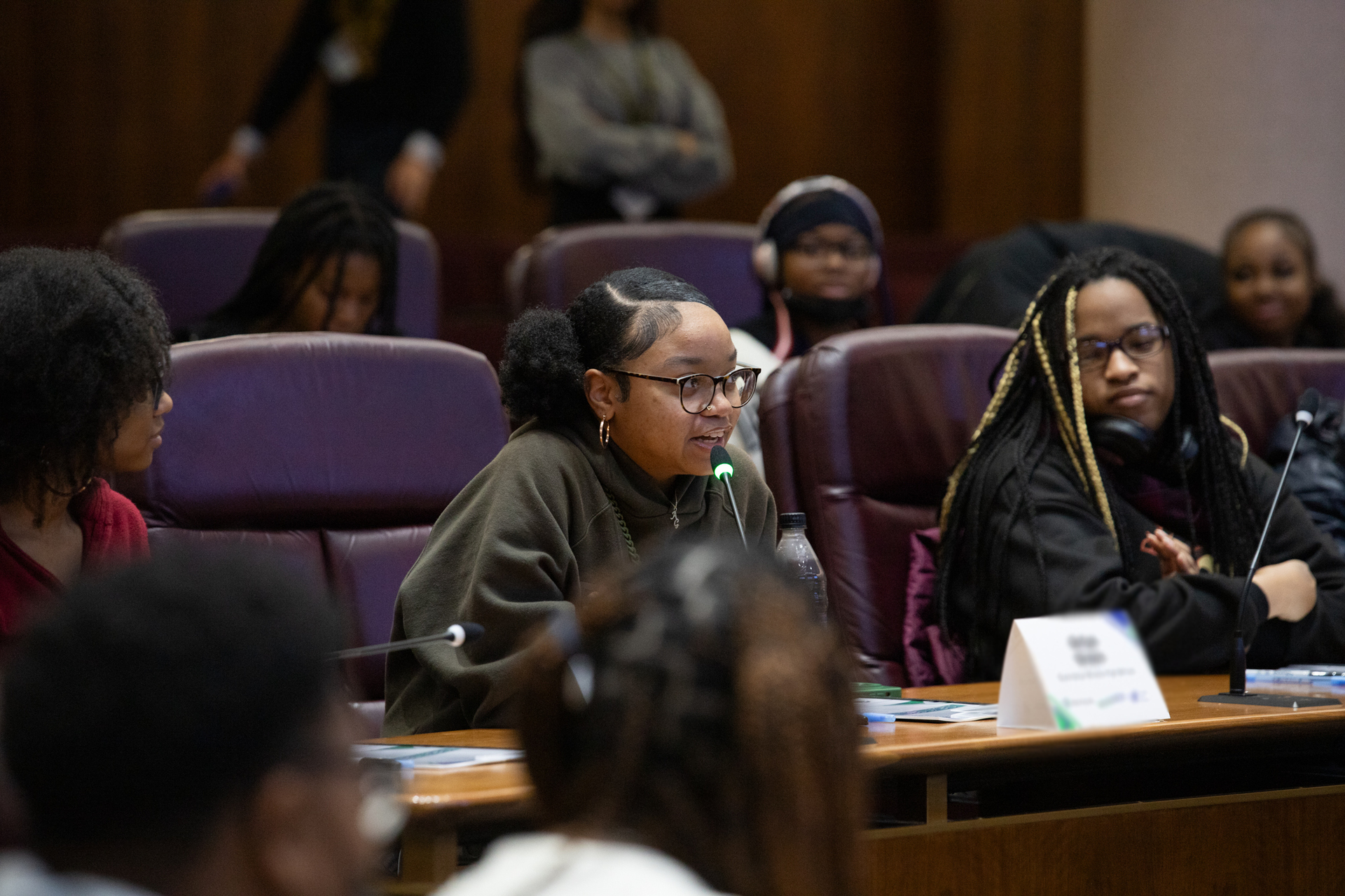 City Council Simulation