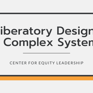 Liberatory Design in Complex Systems cover image