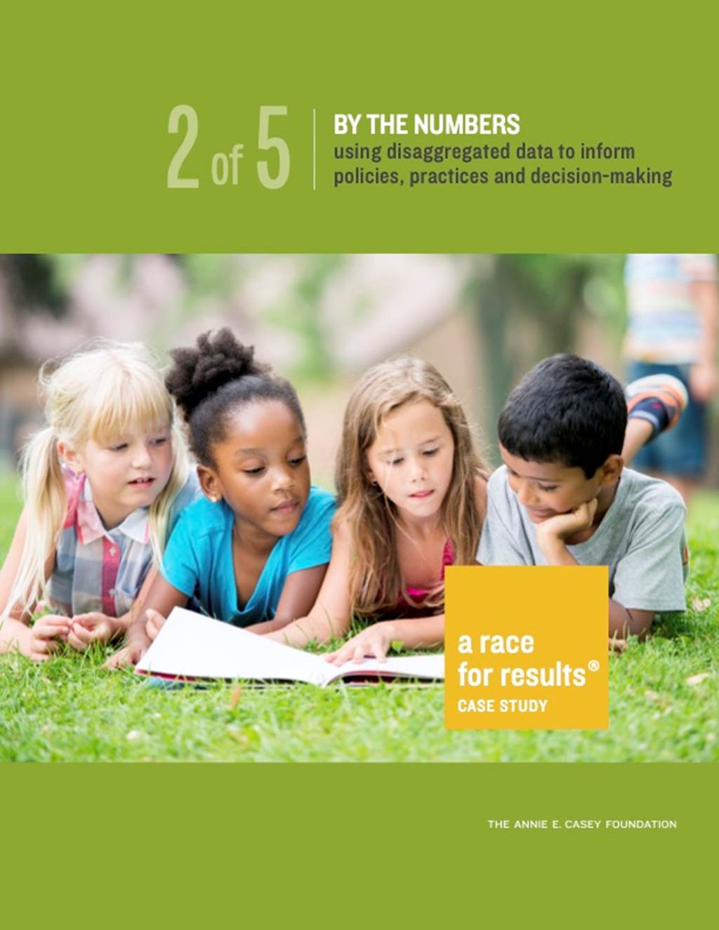 By the Numbers: Using disaggregated data to inform policies, practices and decision-making - image