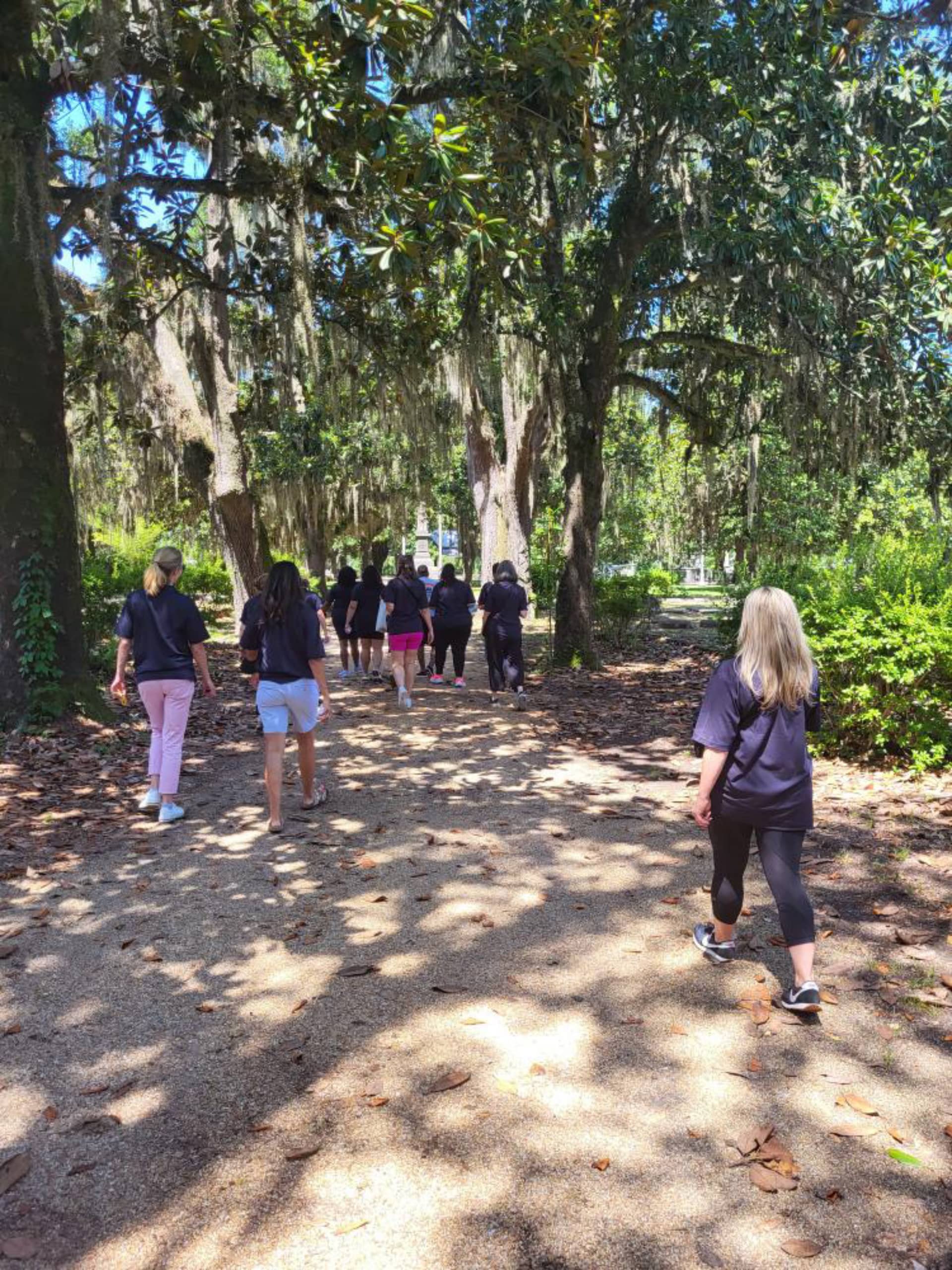 group walking between trees