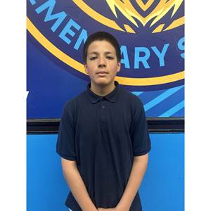 No Alt Text for Image