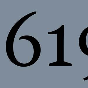 image of the number 1619