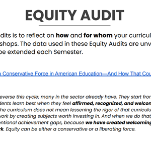 Equity Audit Screenshot