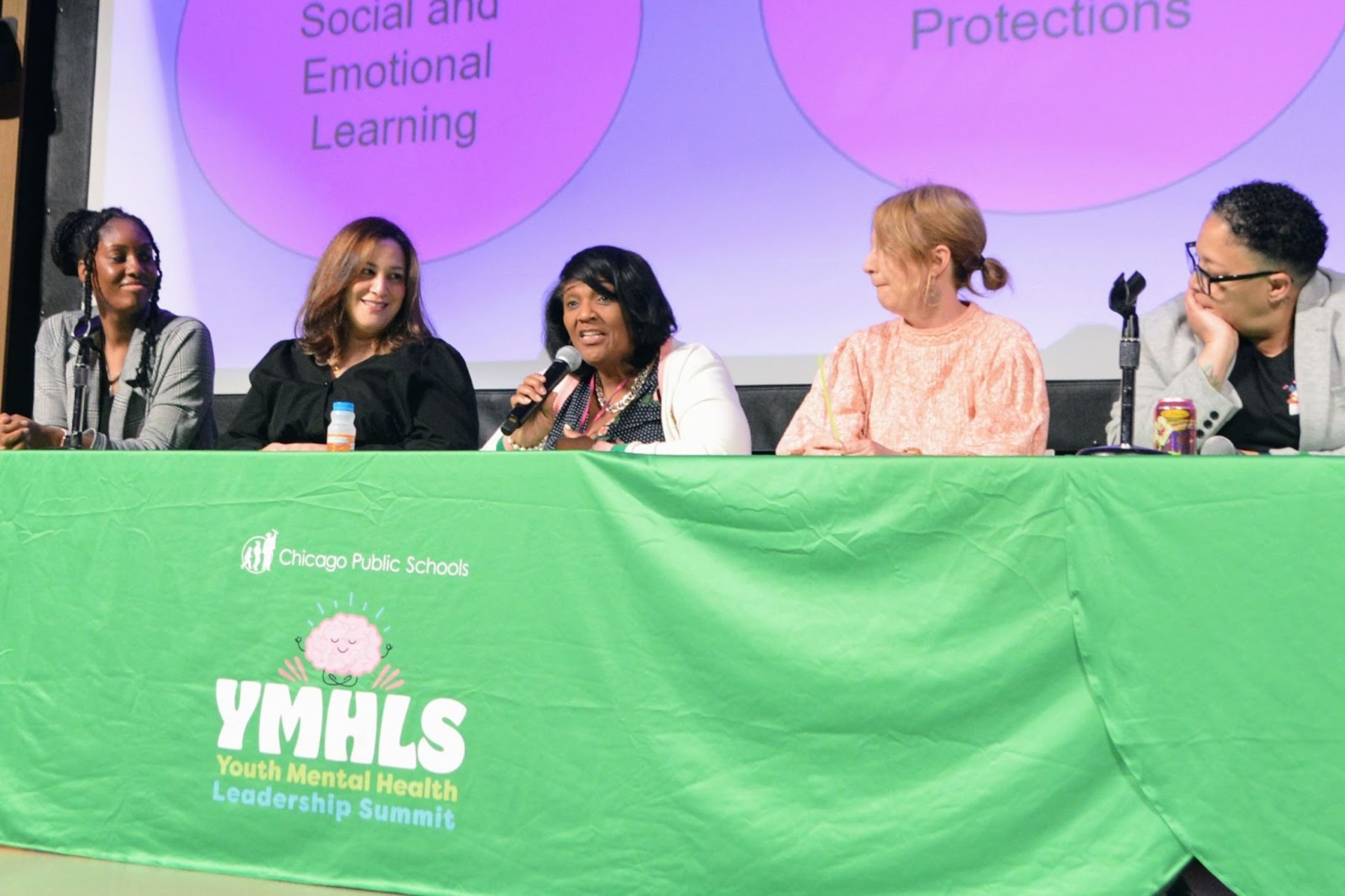 Youth Mental Health Leadership Summit image