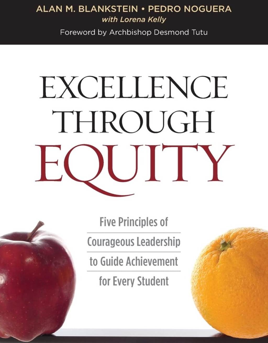 excellence through equity book cover