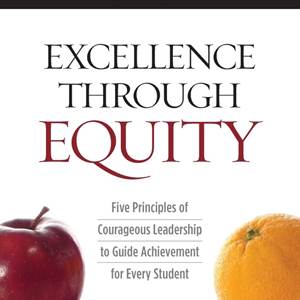excellence through equity book cover