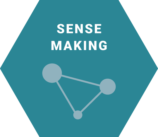 sensemaking icon