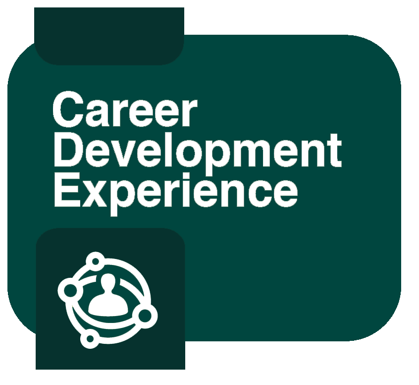 Career Development Experience