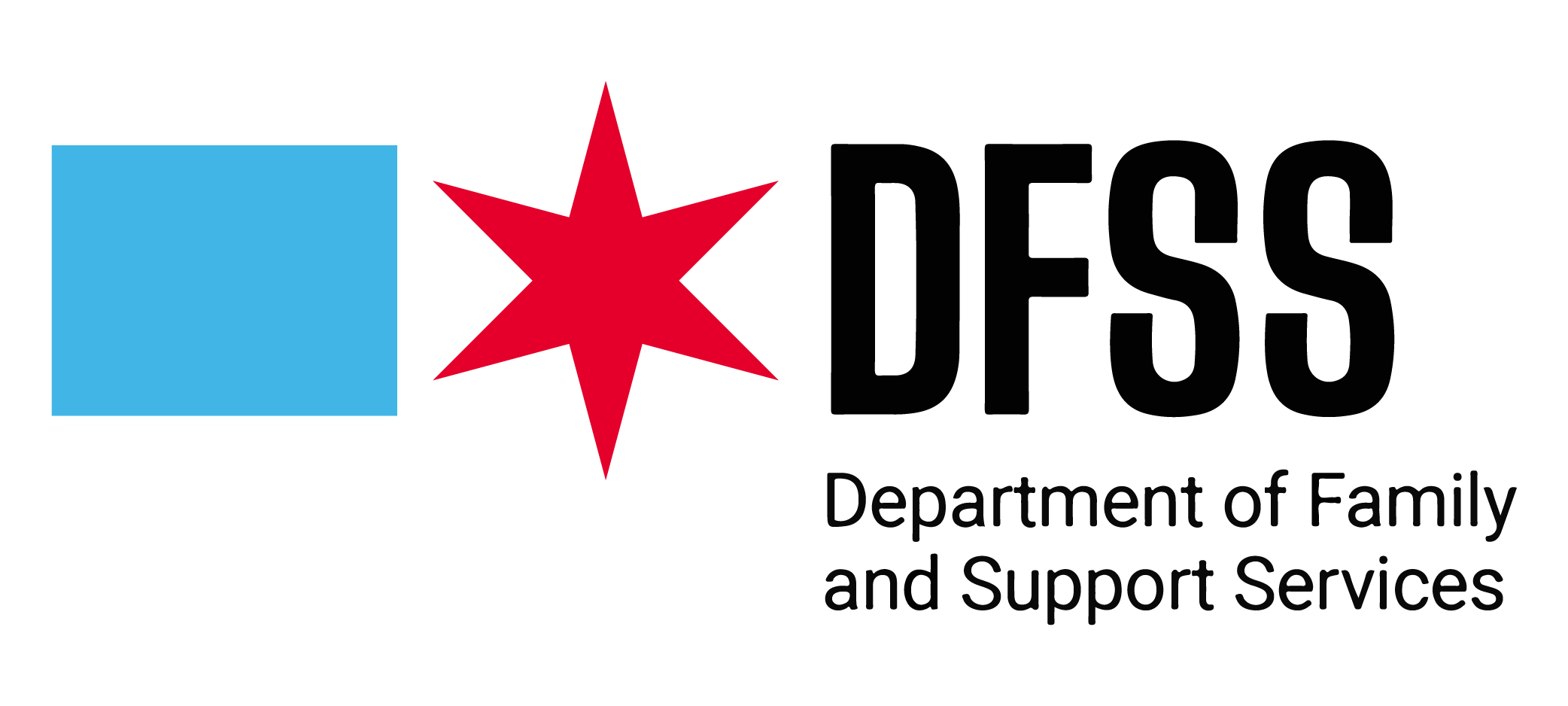 DFSS Logo