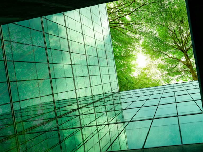 Building with trees