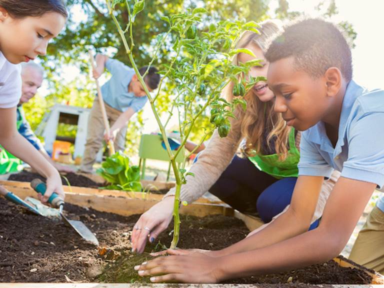 Students plant a garden