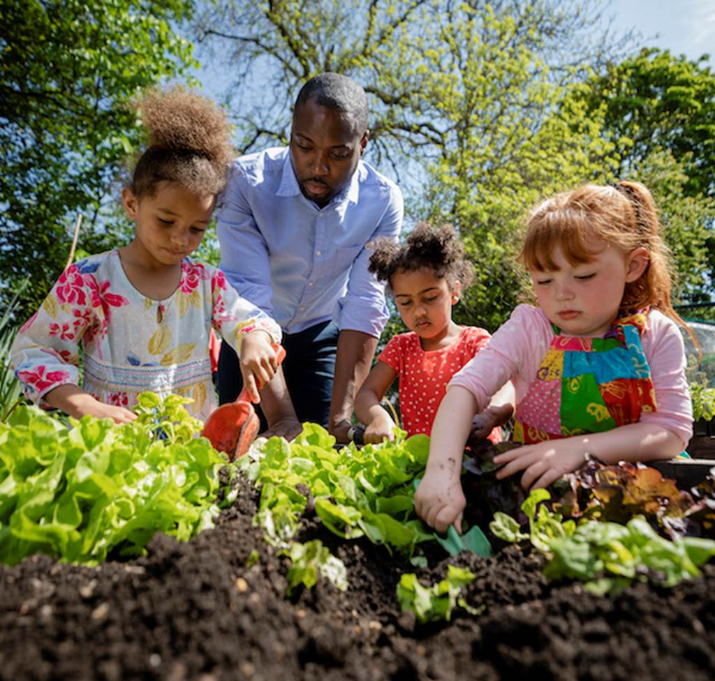 Kids garden