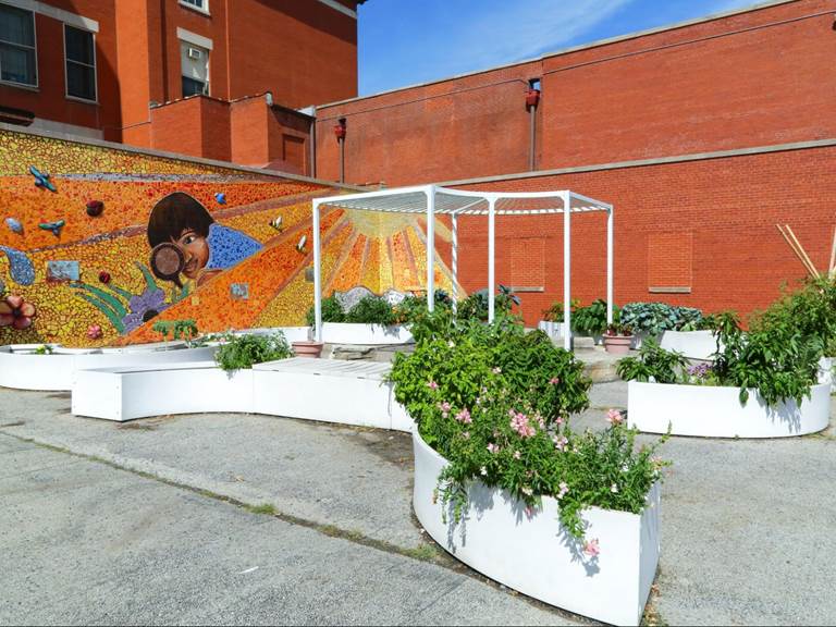 School garden