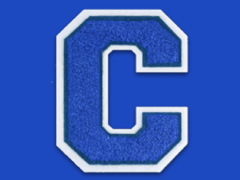 Blue captain image
