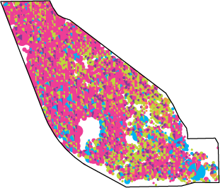 race and ethnicity map - Greater Milwaukee