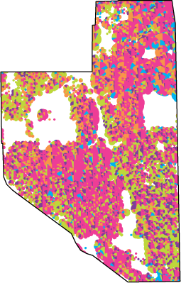 Race and Ethnicity map Northwest Side