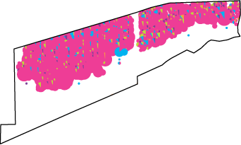 Race and Ethnicity Map - Pilsen LV