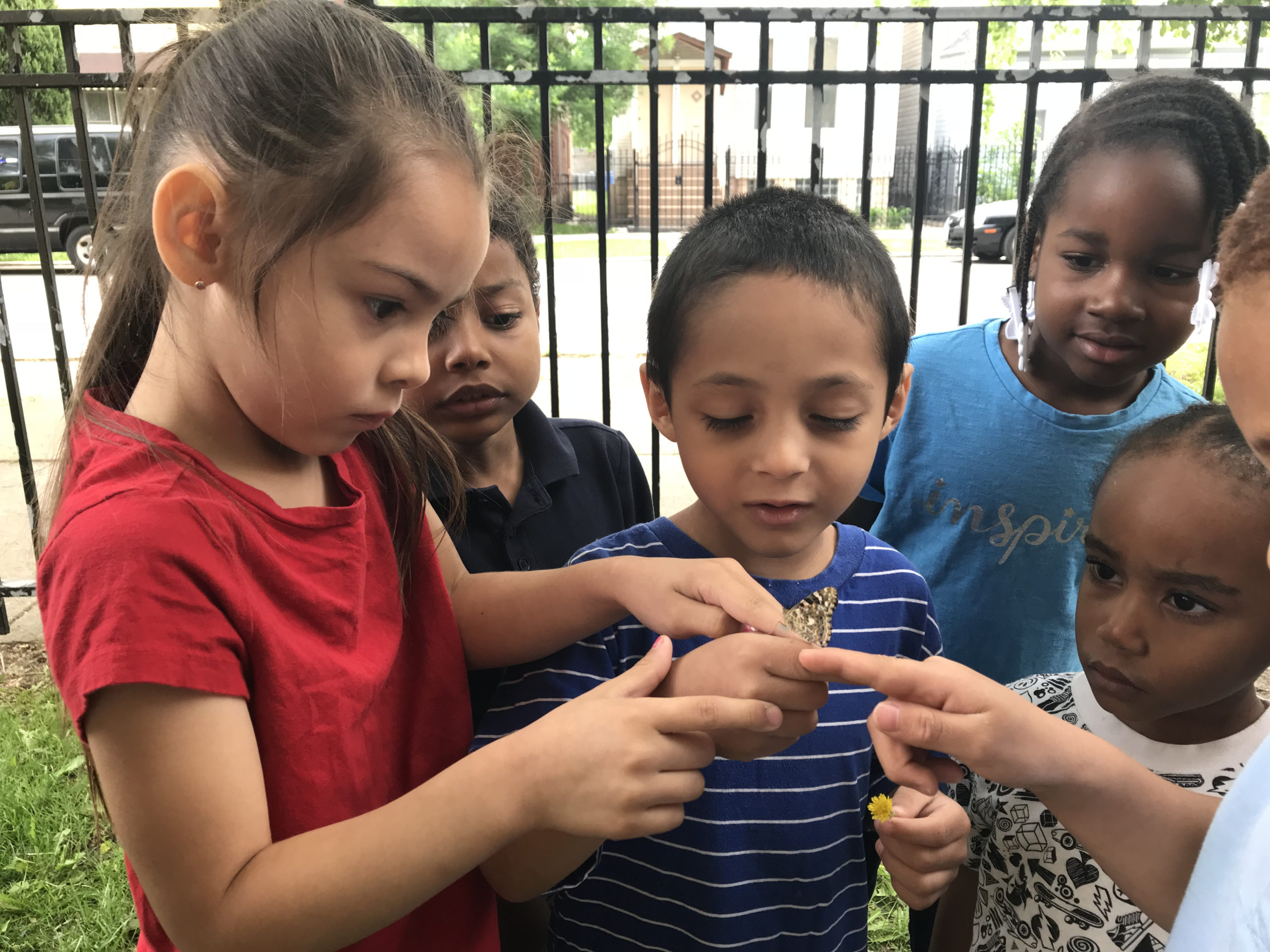 Students touching a butterfly