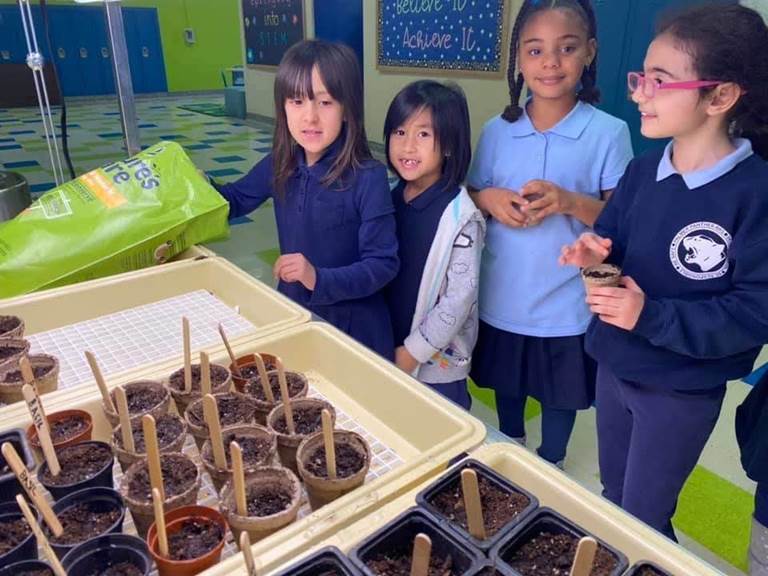 Students planting