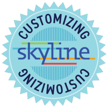 Customizing Skyline Badge