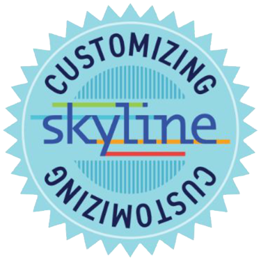 Customizing Skyline Badge